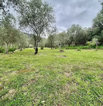 Foto annuncio 38