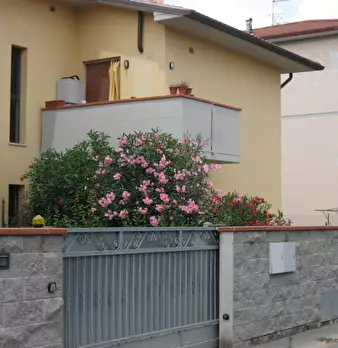 Foto annuncio 1