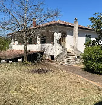 Foto annuncio 3