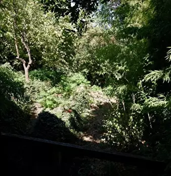 Foto annuncio 78