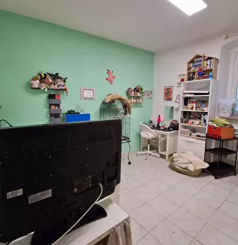 Foto annuncio 3
