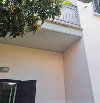 Foto annuncio 33