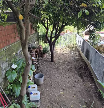 Foto annuncio 9