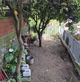 Foto annuncio 7