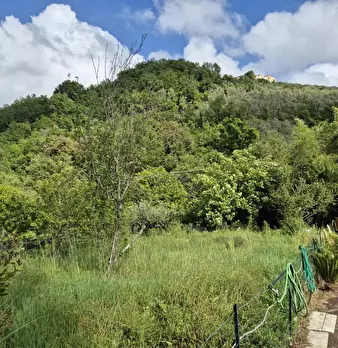 Foto annuncio 13