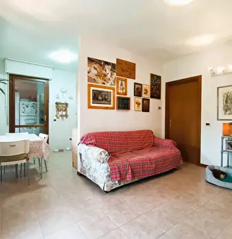 Foto annuncio 19