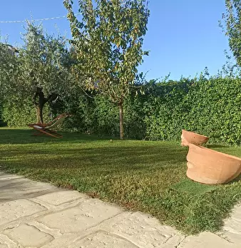 Foto annuncio 11
