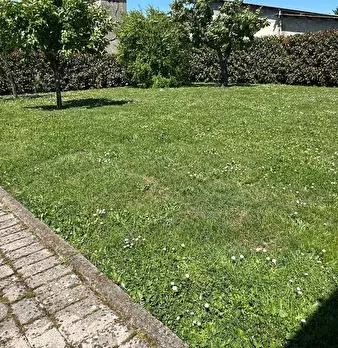 Foto annuncio 6