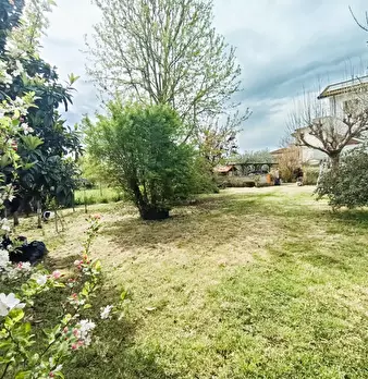 Foto annuncio 52