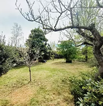 Foto annuncio 56