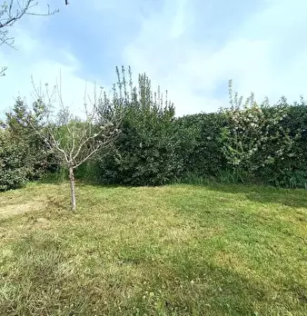 Foto annuncio 51
