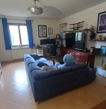 Foto annuncio 1