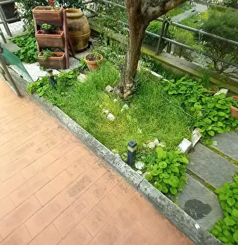 Foto annuncio 5