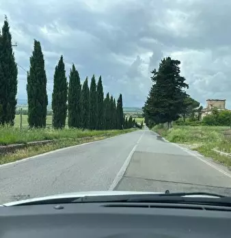 Foto annuncio 21