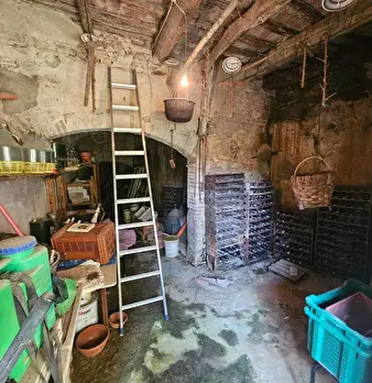 Foto annuncio 20