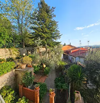 Foto annuncio 31