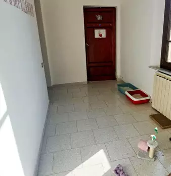 Foto annuncio 68