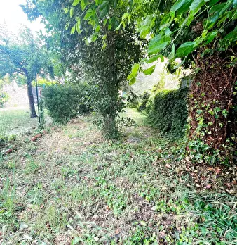 Foto annuncio 33