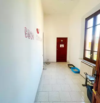 Foto annuncio 29