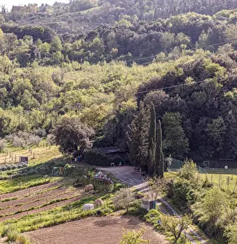 Foto annuncio 39