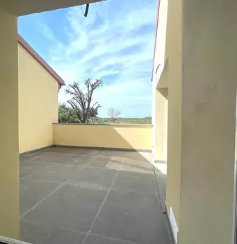 Foto annuncio 9