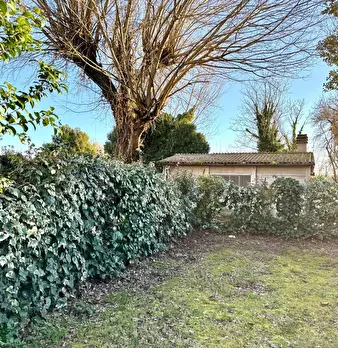 Foto annuncio 4