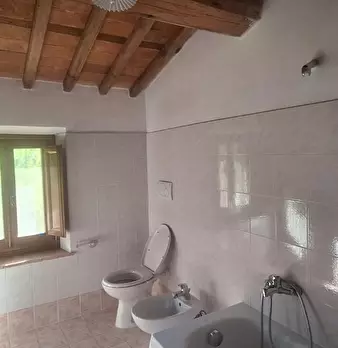 Foto annuncio 12