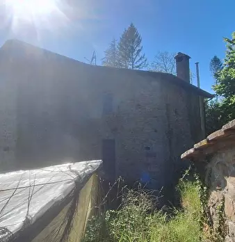 Foto annuncio 17