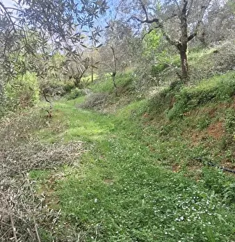 Foto annuncio 6