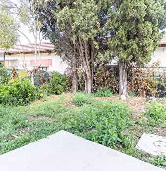 Foto annuncio 33