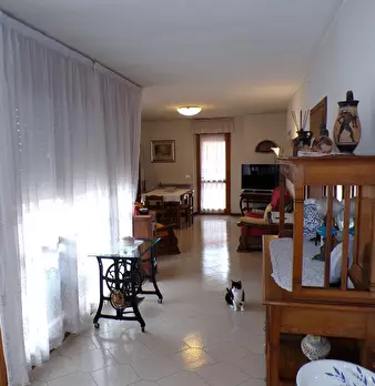 Foto annuncio 12