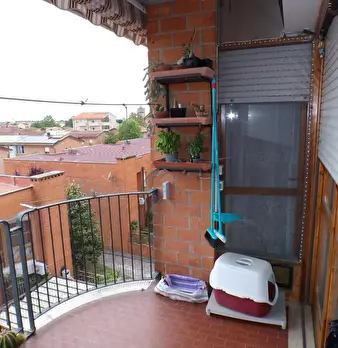 Foto annuncio 11