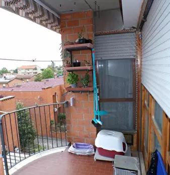 Foto annuncio 10