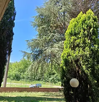Foto annuncio 48