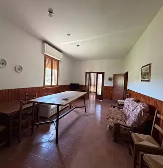 Foto annuncio 42