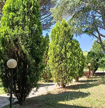 Foto annuncio 46