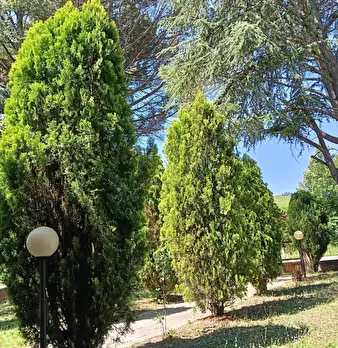 Foto annuncio 47