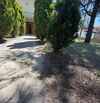 Foto annuncio 15