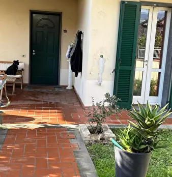 Foto annuncio 22