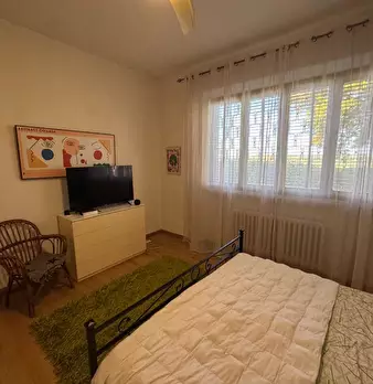 Foto annuncio 54