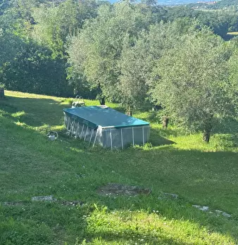 Foto annuncio 6