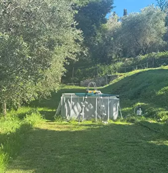 Foto annuncio 12