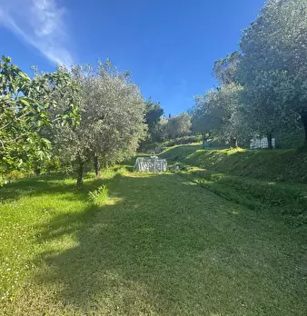 Foto annuncio 13