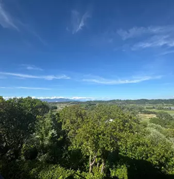 Foto annuncio 33