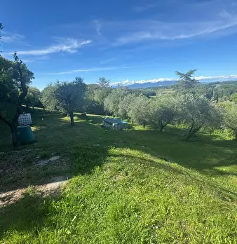 Foto annuncio 5