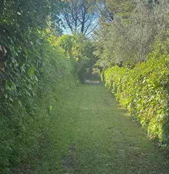 Foto annuncio 9