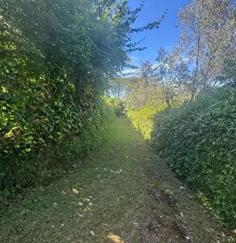Foto annuncio 8