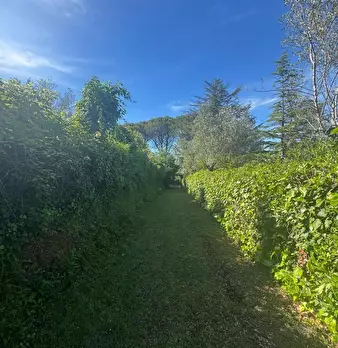 Foto annuncio 11