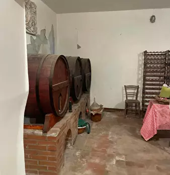 Foto annuncio 6