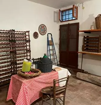 Foto annuncio 7